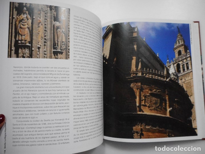 Libros de segunda mano: PEDRO NAVASCU&Eacute;S PALACIO Catedrales de Espa&ntilde;a Y95615 - Foto 2