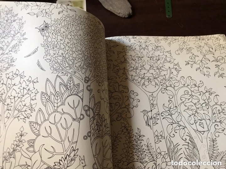 Libros de segunda mano: Enchanted forest. Johanna Basford. Para colorear. - Foto 7