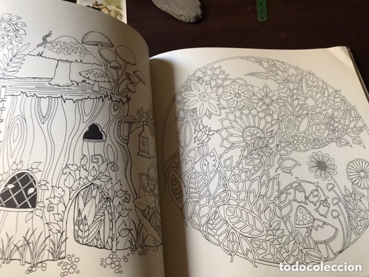 Libros de segunda mano: Enchanted forest. Johanna Basford. Para colorear. - Foto 8