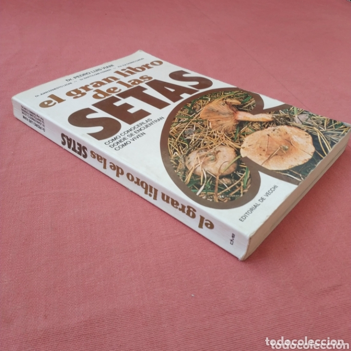 Libros de segunda mano: EL GRAN LIBRO DE LAS SETAS - Dr Pedro Luis Viani- ED. DE VECCHI - Foto 2