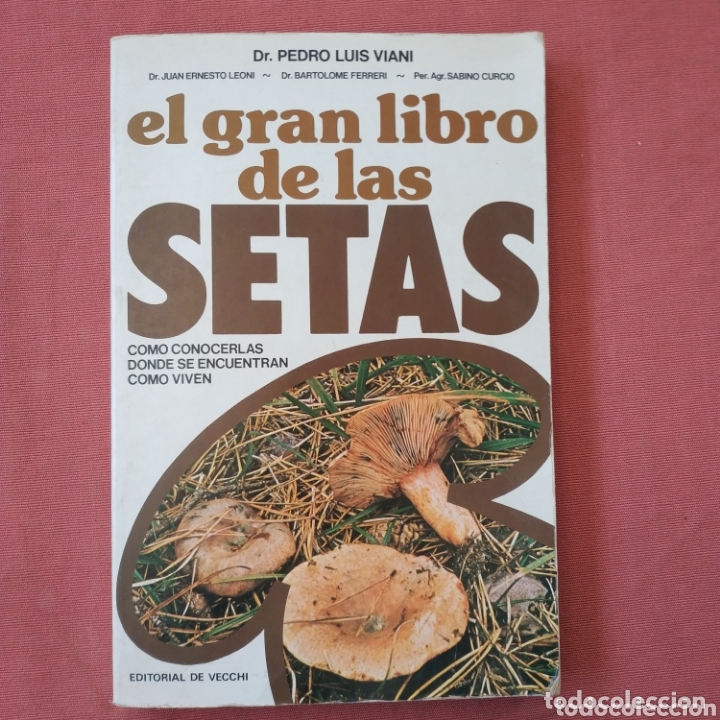 Libros de segunda mano: EL GRAN LIBRO DE LAS SETAS - Dr Pedro Luis Viani- ED. DE VECCHI - Foto 1