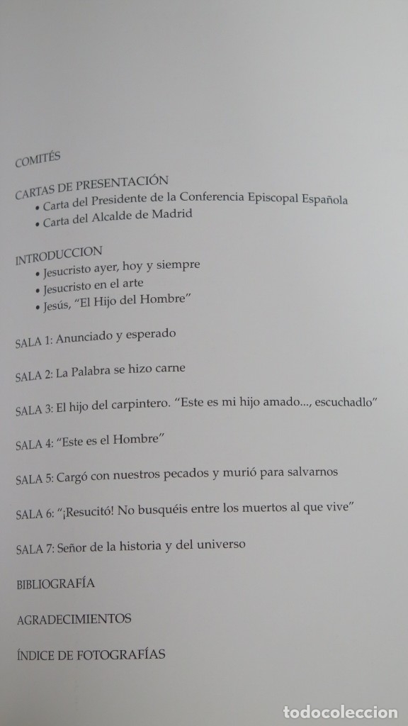 Libros de segunda mano: EL HIJO DEL HOMBRE. EL ROSTRO DE CRISTO EN EL ARTE - Foto 2