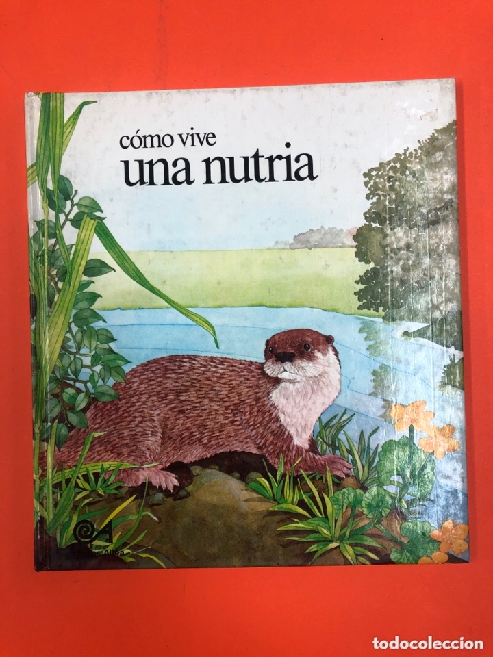Libros de segunda mano: COMO VIVE UNA NUTRIA - EDICIONES ALTEA 1981 - Foto 1