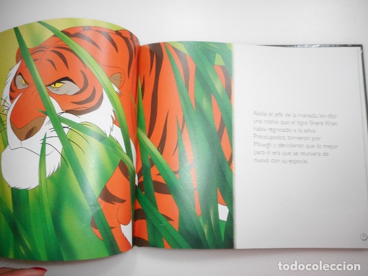 Libros de segunda mano: DISNEY      El libro de la selva      Y95676 - Foto 2