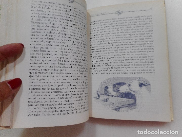 Libros de segunda mano: JONATHAN SWIFT      Los viajes de Guliver      Y95680 - Foto 2