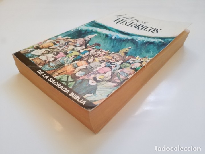 Libros de segunda mano: LIBROS HISTORICOS DE LA SAGRADA FAMILIA - Foto 2