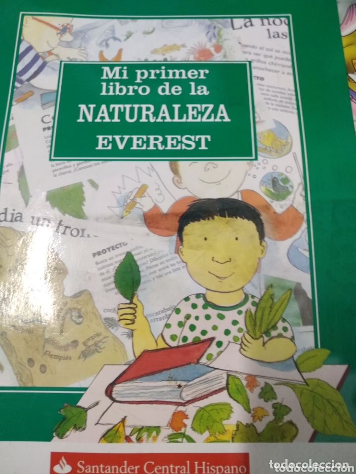 Libros de segunda mano: Mi primer libro de la naturaleza - Foto 1