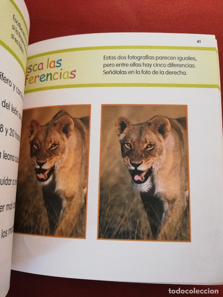 Libros de segunda mano: EL LE&Oacute;N (MIS ANIMALES FAVORITOS / EL PAIS) - Foto 3