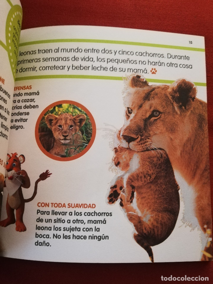 Libros de segunda mano: EL LE&Oacute;N (MIS ANIMALES FAVORITOS / EL PAIS) - Foto 6