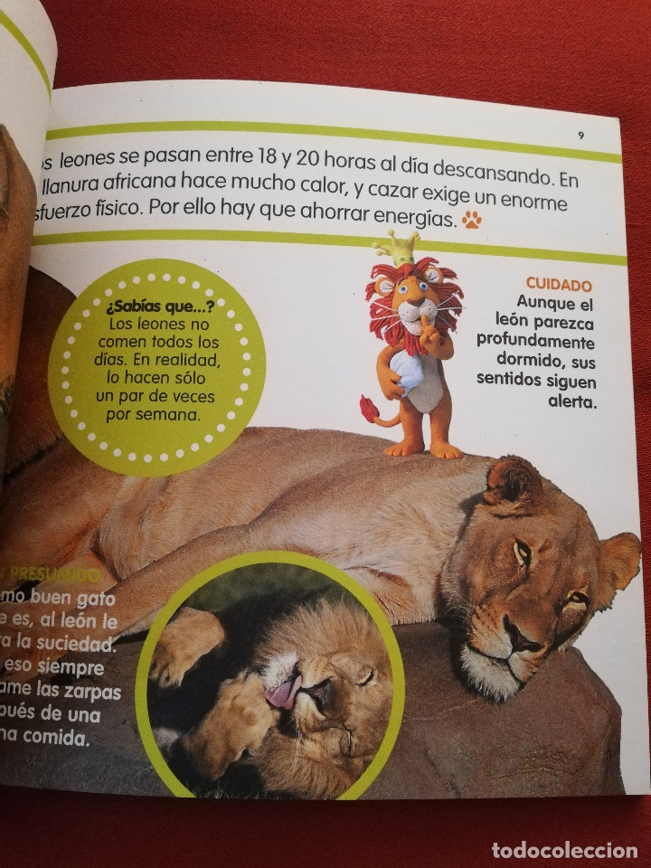 Libros de segunda mano: EL LE&Oacute;N (MIS ANIMALES FAVORITOS / EL PAIS) - Foto 7