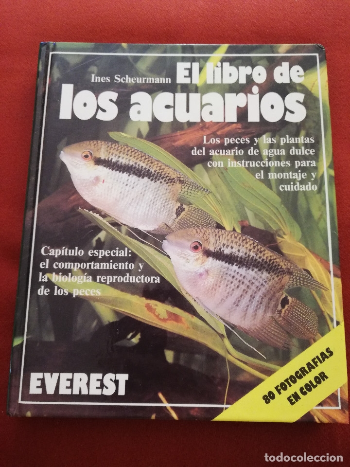 Libros de segunda mano: EL LIBRO DE LOS ACUARIOS (INES SCHEURMANN) EDITORIAL EVEREST - Foto 1