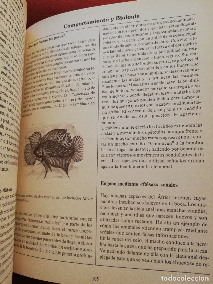 Libros de segunda mano: EL LIBRO DE LOS ACUARIOS (INES SCHEURMANN) EDITORIAL EVEREST - Foto 5