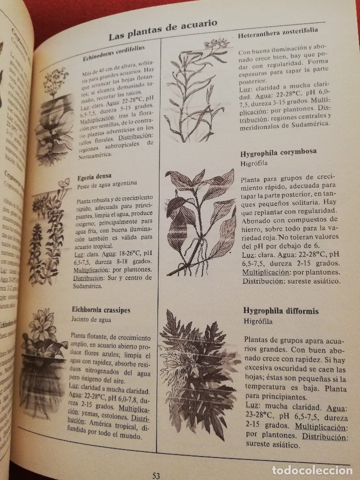 Libros de segunda mano: EL LIBRO DE LOS ACUARIOS (INES SCHEURMANN) EDITORIAL EVEREST - Foto 7