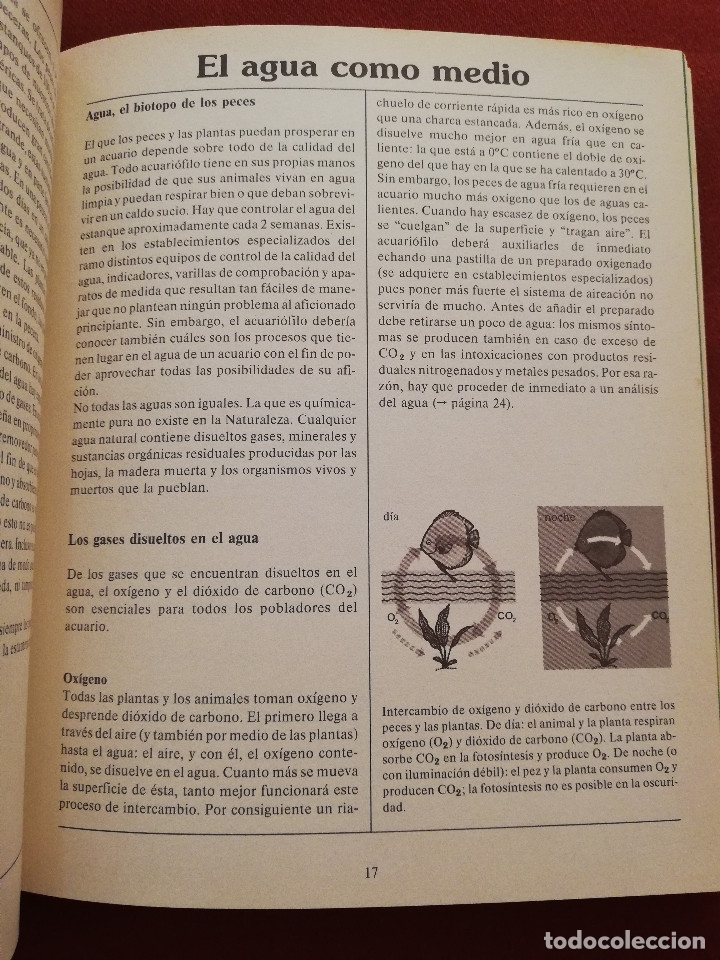 Libros de segunda mano: EL LIBRO DE LOS ACUARIOS (INES SCHEURMANN) EDITORIAL EVEREST - Foto 10