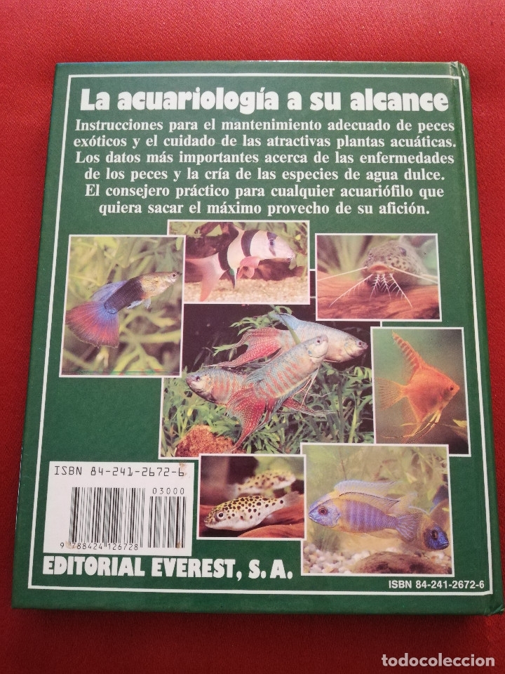 Libros de segunda mano: EL LIBRO DE LOS ACUARIOS (INES SCHEURMANN) EDITORIAL EVEREST - Foto 12