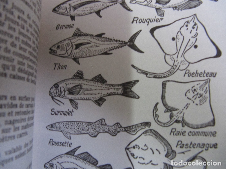 Libros de segunda mano: BONITO LIBRO DE PESCA-PECHES EN MER EN BATEAU JACQUES ELLUIN 1984 - Foto 7