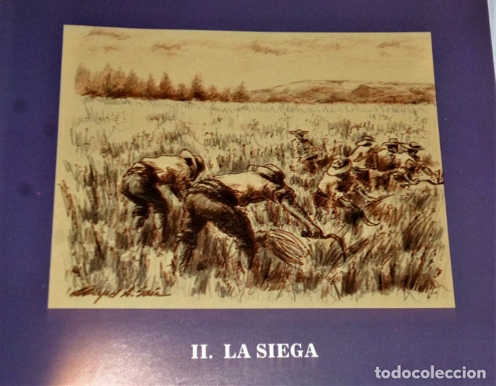 Libros de segunda mano: APEROS DE MADERA - Foto 5