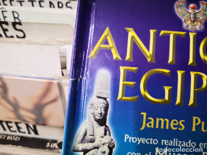 Libros de segunda mano: Antiguo Egipto - Libro Pop-UP - James Putnam - Ediciones SM - Foto 3