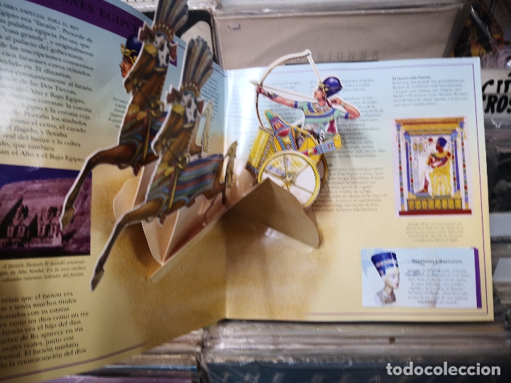 Libros de segunda mano: Antiguo Egipto - Libro Pop-UP - James Putnam - Ediciones SM - Foto 5