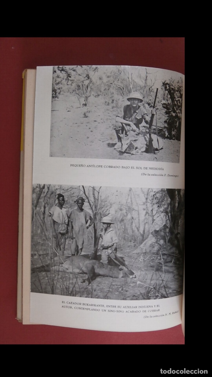 Libros de segunda mano: Cacer&igrave;as en la selva africana. Nicol&aacute;s. M&ordf; Rubi&oacute; - Foto 2