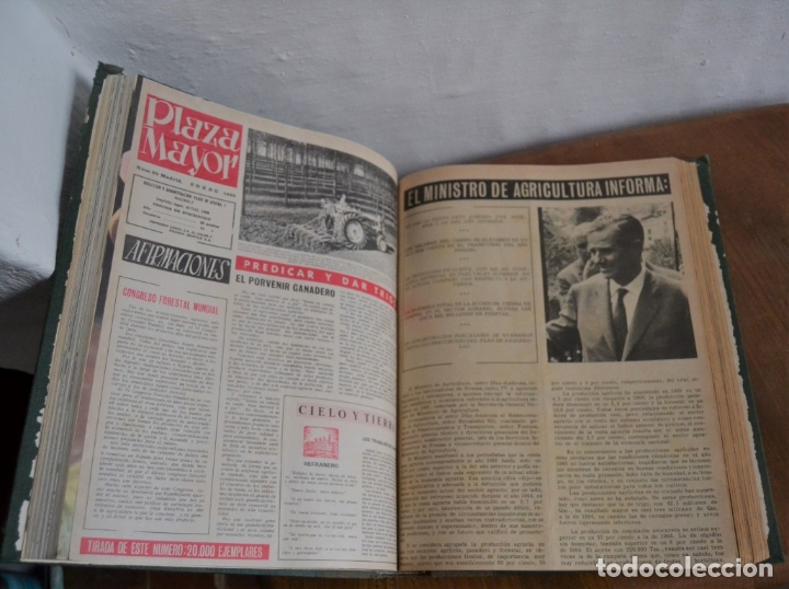 Libros de segunda mano: PLAZA MAYOR PERIÓDICO ILUSTRADO PARA EL CAMPO * ENCUADERNADO - AÑOS 1965 - 1966 - Foto 8 - 176624524