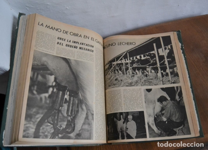 Libros de segunda mano: PLAZA MAYOR PERIÓDICO ILUSTRADO PARA EL CAMPO * ENCUADERNADO - AÑOS 1965 - 1966 - Foto 11 - 176624524