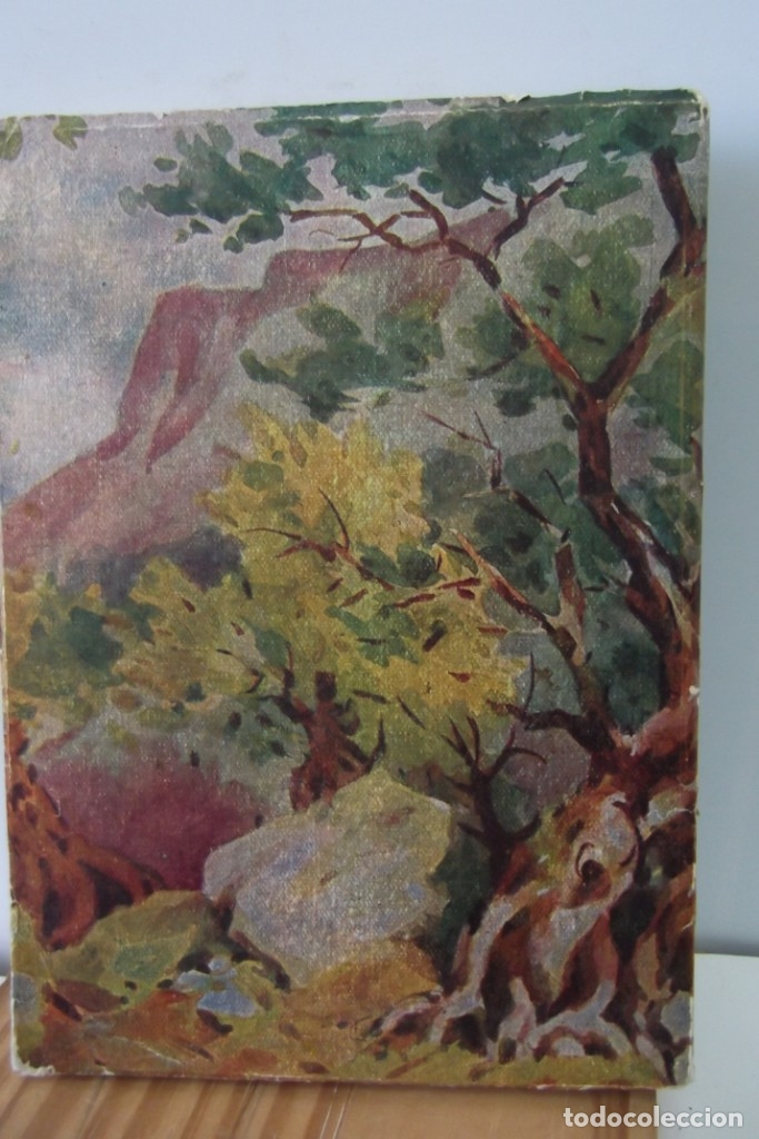 Libros de segunda mano: # GEORGE SAND # UN INVIERNO EN MALLORCA # MCMLI- 1951 # - Foto 7