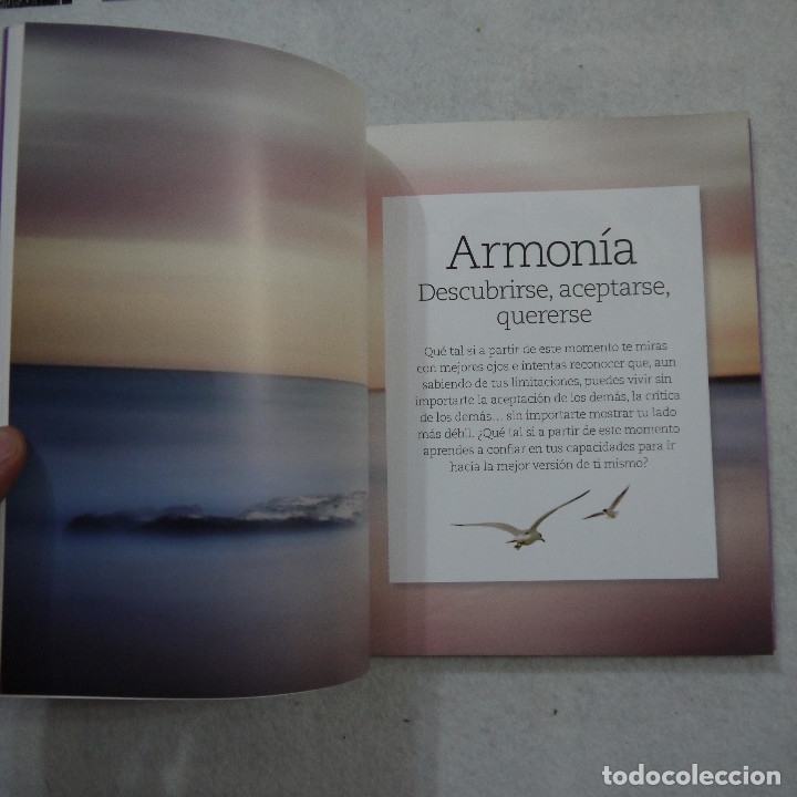 Libros de segunda mano: COMIENZA SIEMPRE DE NUEVO - JORGE BUCAY - RBA - 2015 - Foto 3