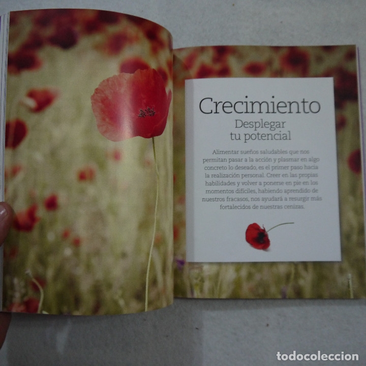 Libros de segunda mano: COMIENZA SIEMPRE DE NUEVO - JORGE BUCAY - RBA - 2015 - Foto 5