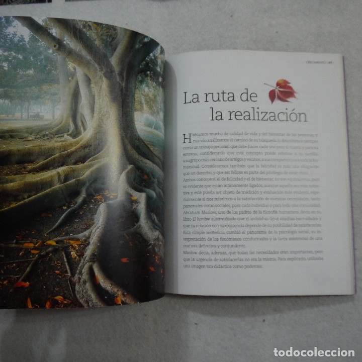 Libros de segunda mano: COMIENZA SIEMPRE DE NUEVO - JORGE BUCAY - RBA - 2015 - Foto 6