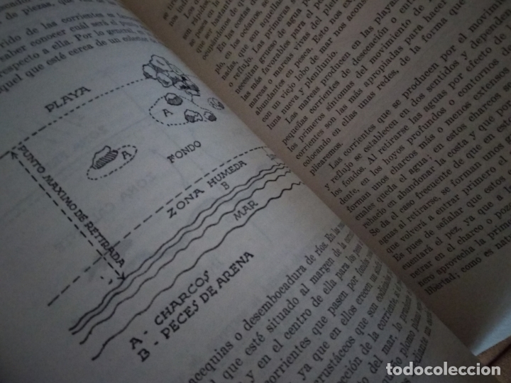 Libros de segunda mano: Pesca mar&iacute;tima - Juan Roig - Foto 2