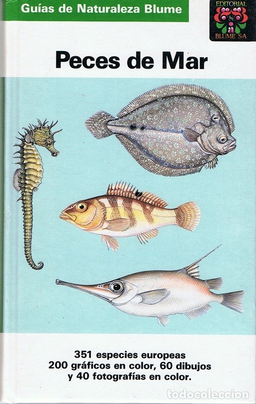 Libros de segunda mano: LOS PECES DE MAR FRITZ TEROFAL - Foto 1