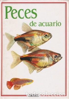 Libros de segunda mano: PECES DE ACUARIO - Petrovicky, Ivan 1994 - Foto 1