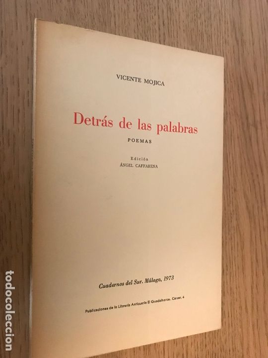 Libros de segunda mano: DETR&Aacute;S DE LAS PALABRAS - MOJICA, VICENTE - Foto 1