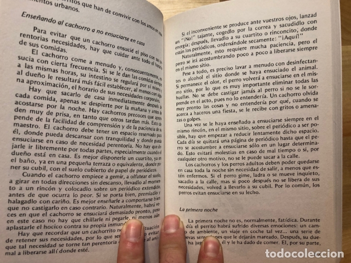 Libros de segunda mano: El perro - Alan Russell - Foto 2