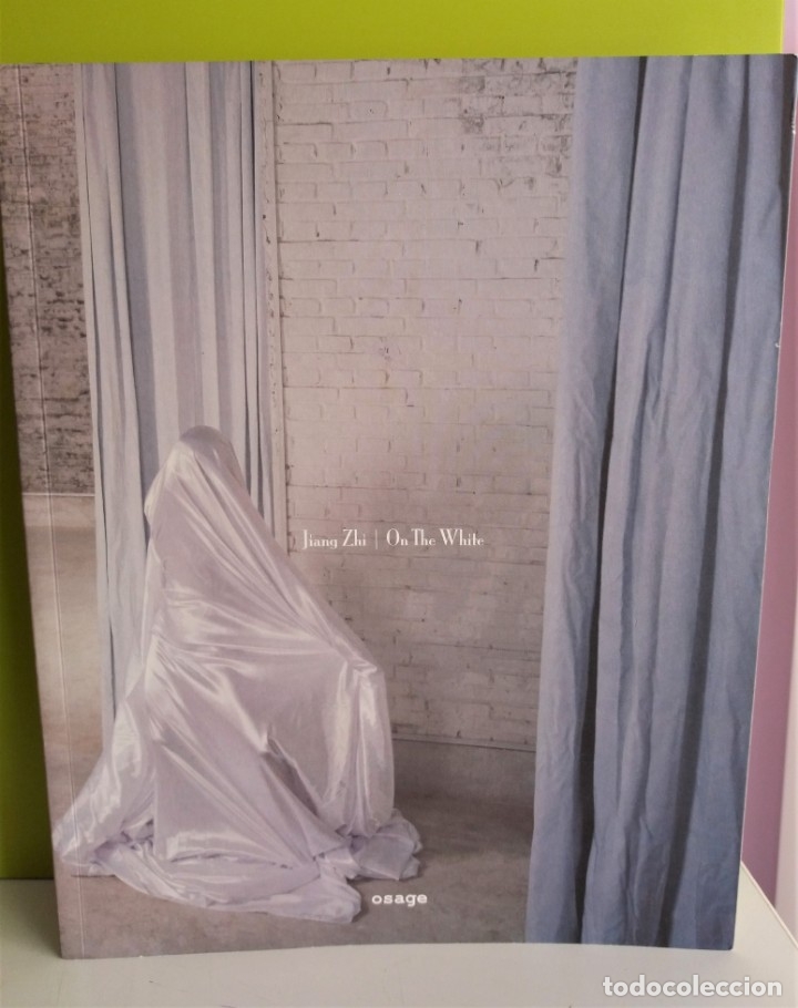 Libros de segunda mano: Jiang Zhi: On the White, 蔣志: 白色之上 - Foto 1