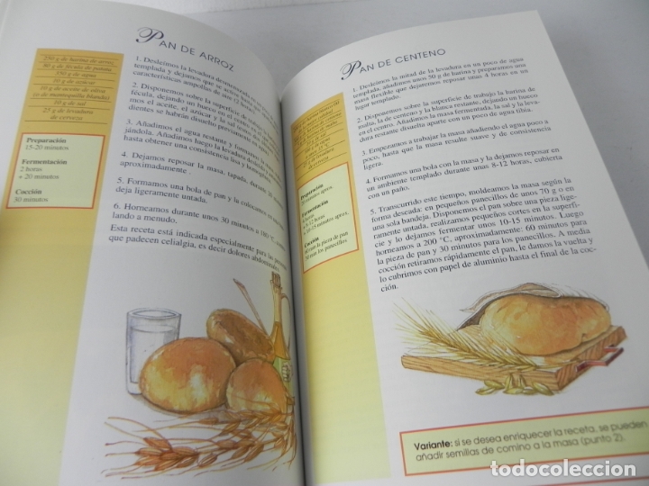 Libros de segunda mano: EL PAN, COMO SE HACE (ANNA BISIO) EDIT. DE VECCHI-2000 - Foto 4