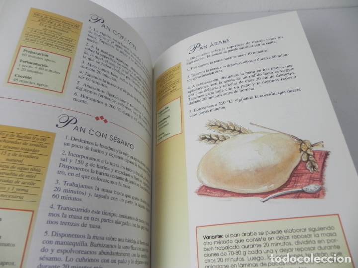 Libros de segunda mano: EL PAN, COMO SE HACE (ANNA BISIO) EDIT. DE VECCHI-2000 - Foto 5