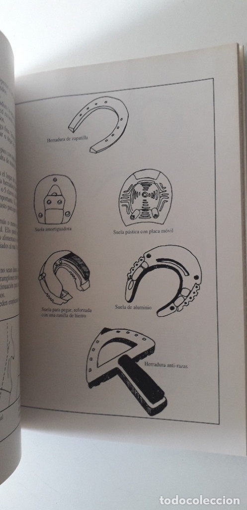 Libros de segunda mano: HIERRE USTED MISMO SU CABALLO - THOMAS CHRISTIAN - Foto 6