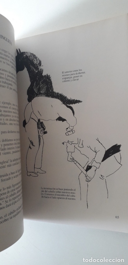 Libros de segunda mano: HIERRE USTED MISMO SU CABALLO - THOMAS CHRISTIAN - Foto 7