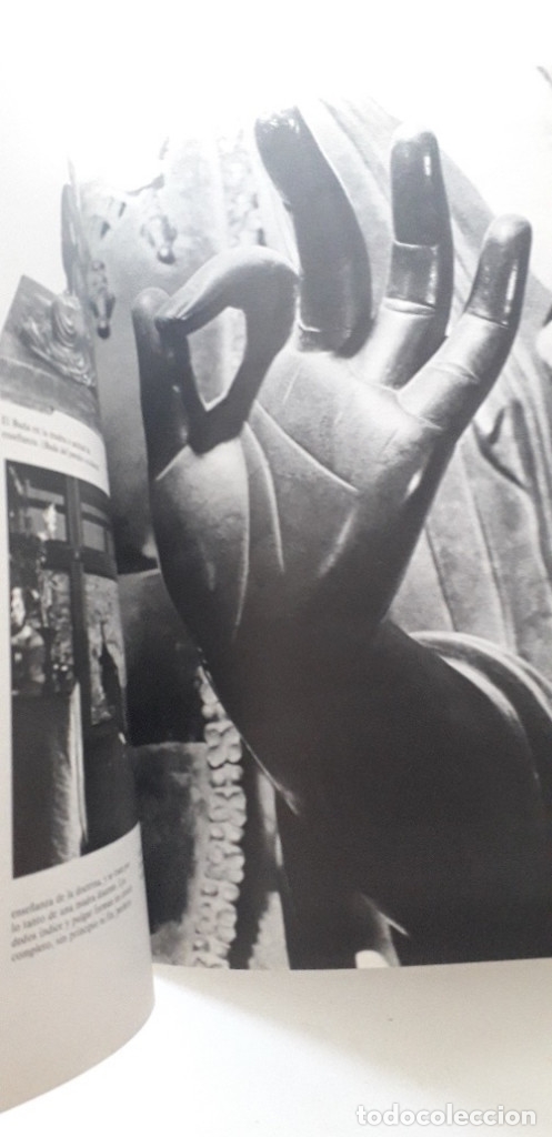 Libros de segunda mano: ZEN - ANNE BANCRAFT - Foto 6