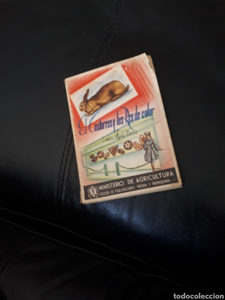 Libros de segunda mano: El Castorrex y los Rex de Color con 170 paginas - Foto 1