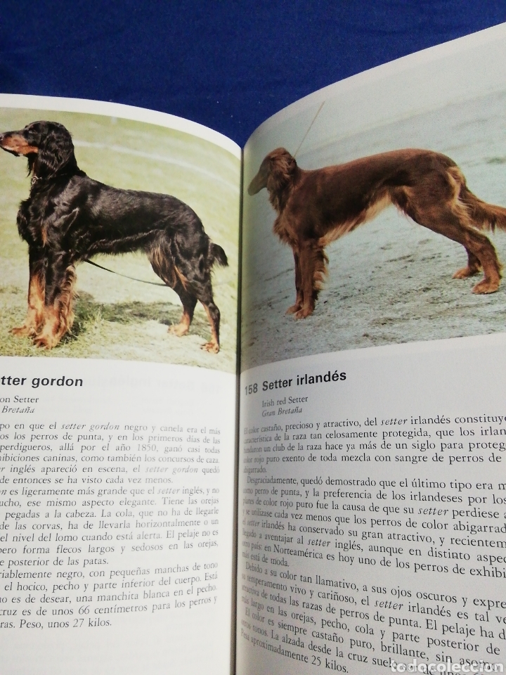 Libros de segunda mano: TODOS LOS PERROS DEL MUNDO - Foto 3
