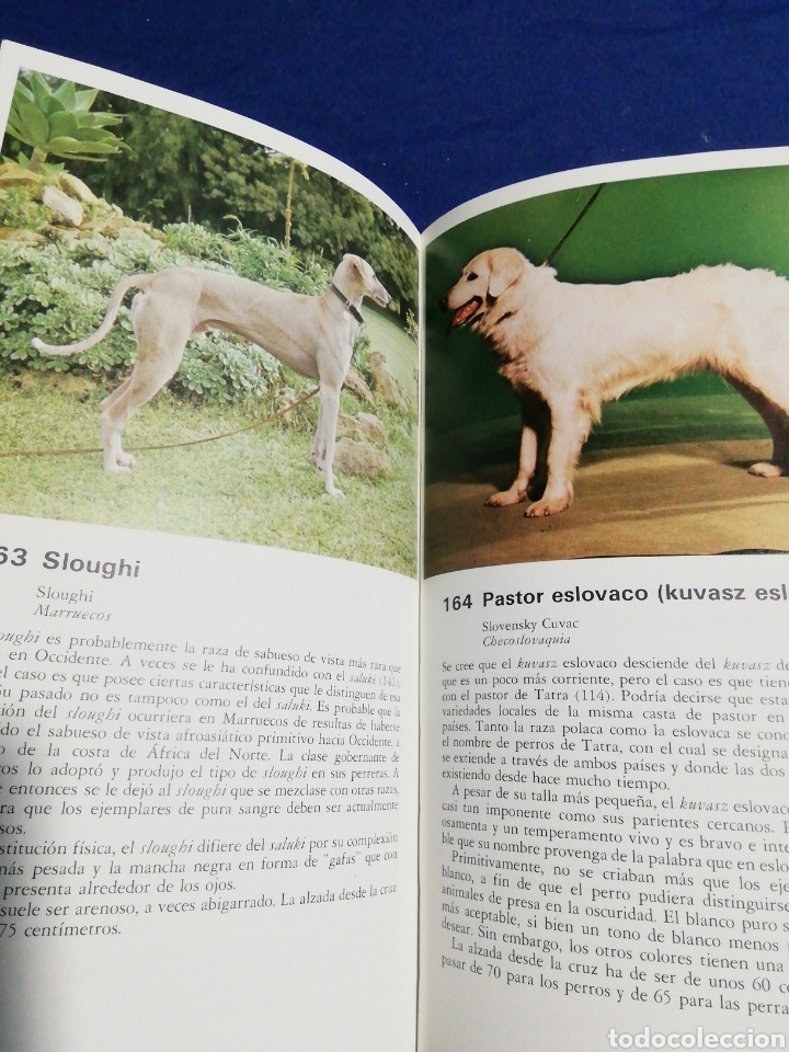 Libros de segunda mano: TODOS LOS PERROS DEL MUNDO - Foto 4