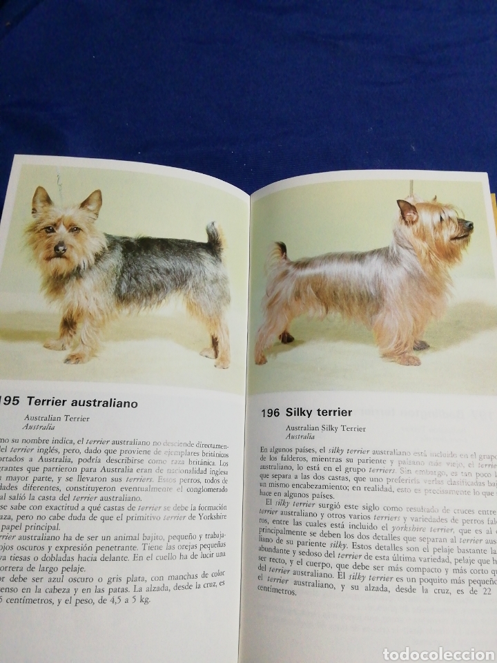 Libros de segunda mano: TODOS LOS PERROS DEL MUNDO - Foto 5