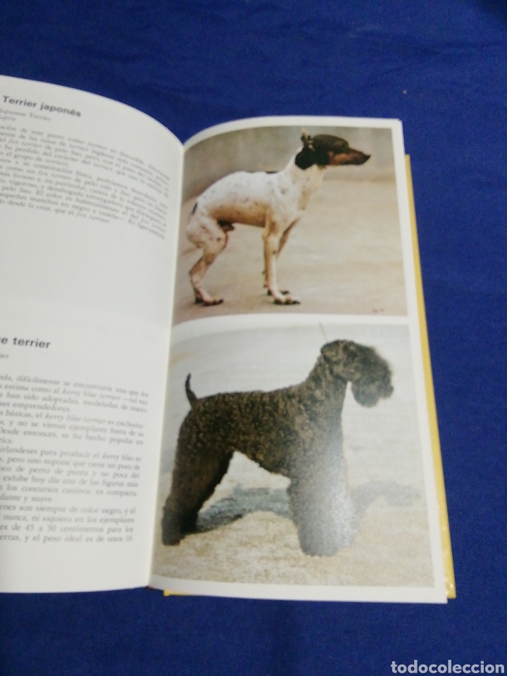 Libros de segunda mano: TODOS LOS PERROS DEL MUNDO - Foto 6