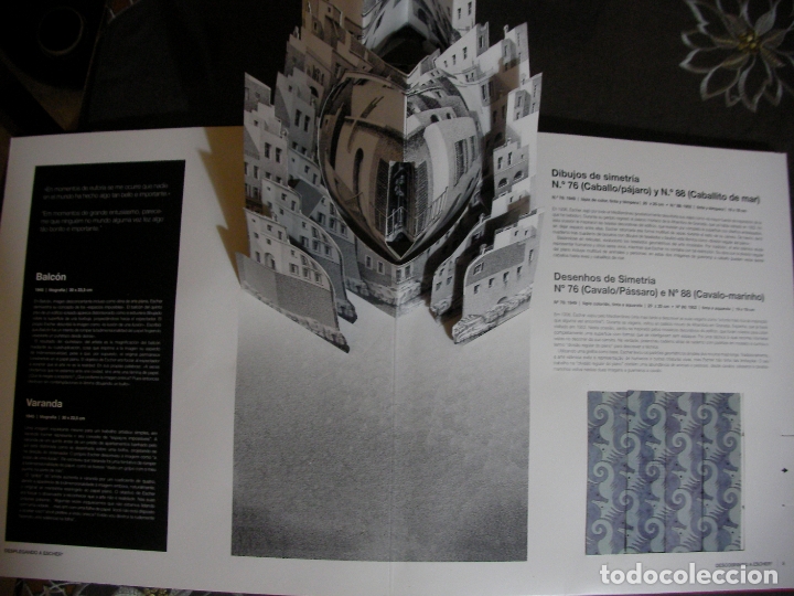 Libros de segunda mano: DESPLEGANDO A ESCHER - Foto 2