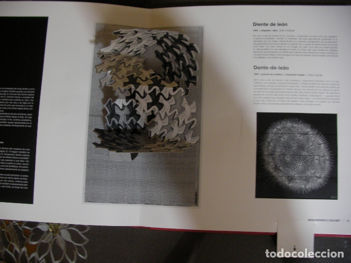 Libros de segunda mano: DESPLEGANDO A ESCHER - Foto 3