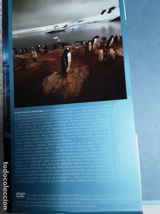Libros de segunda mano: Ant&aacute;rtida - Sebastian Copeland - Foto 2