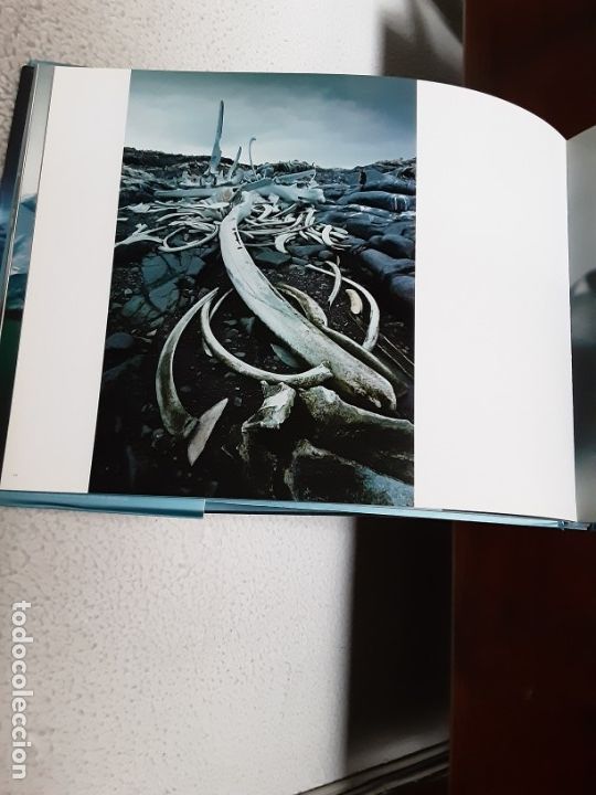 Libros de segunda mano: Ant&aacute;rtida - Sebastian Copeland - Foto 3